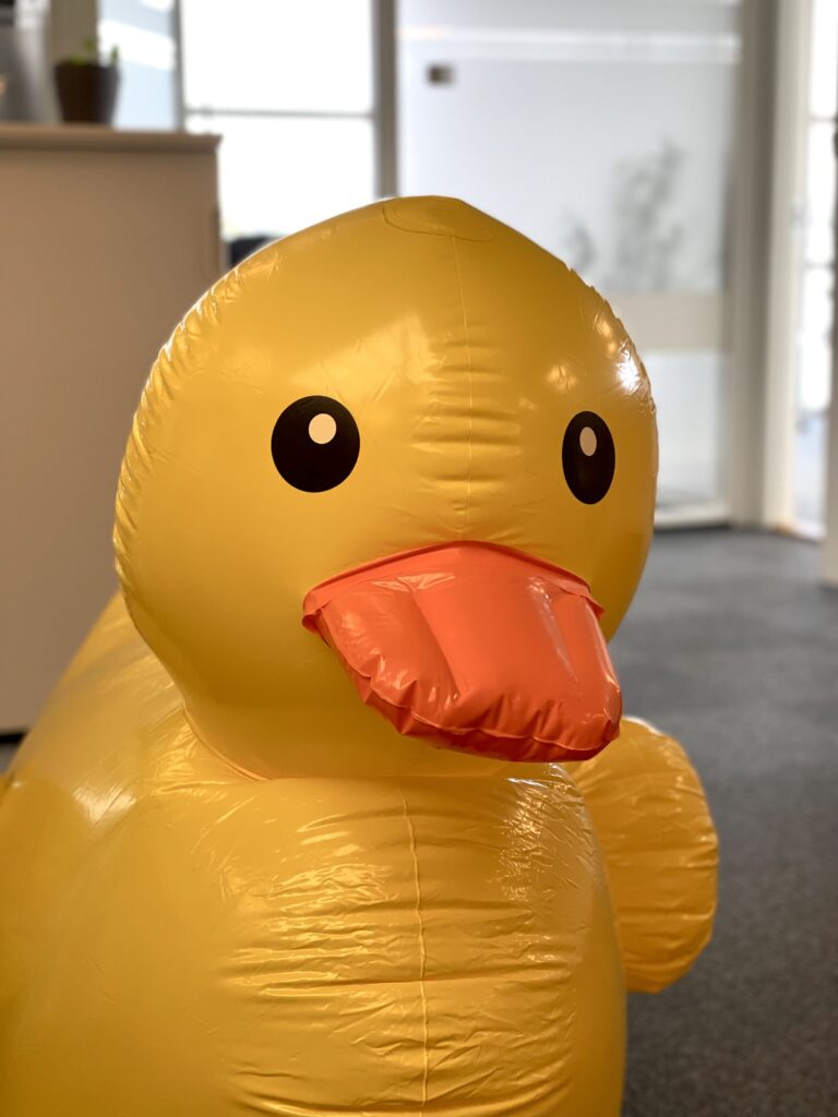 Portrait of a big yellow blow-up duck named kevin